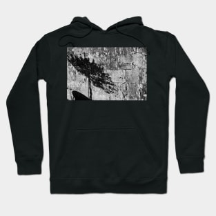 Shadow - San Gimignano, Tuscany, Italy Hoodie